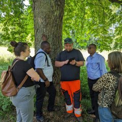 Gespräch mit den KST über Baumpflege und Baumkataster.

Bild: Universitätsstadt Tübingen