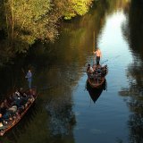 Stocherk&auml;hne auf dem Neckar. Bild: Martin Schreier