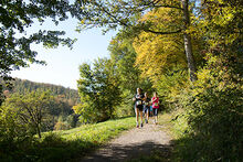 Das Bild zeigt eine Gruppe von Läufern auf einem Waldweg.
