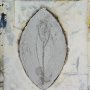 2915 76x51cm