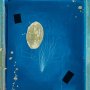 silk_05 74x65cm