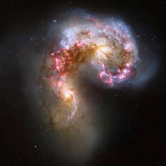 Zwei Galaxien kollidieren und verschmelzen miteinander. Die beiden schwarzen Löcher in den Zentren der kollidierenden Galaxien können sich erst zu einem Binärsystem vereinigen und schließlich miteinander verschmelzen.  Dieser Vorgang erzeugt starke Gravitationswellen. Bild: NASA, ESA, STSc
