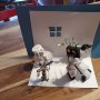 2_Gehl, Leonhard und Alexandra und Fabian
