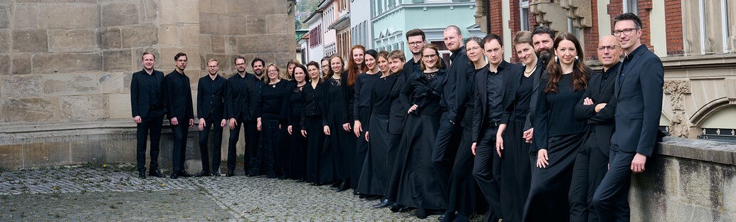 Ensemble Horizons