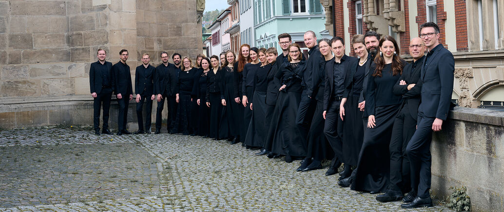 Ensemble Horizons