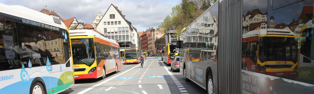 In der Mitte verläuft ein Radweg, rechts und links sind Busse zu sehen