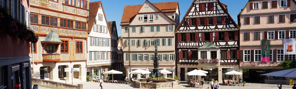 Marktplatz Tübingen