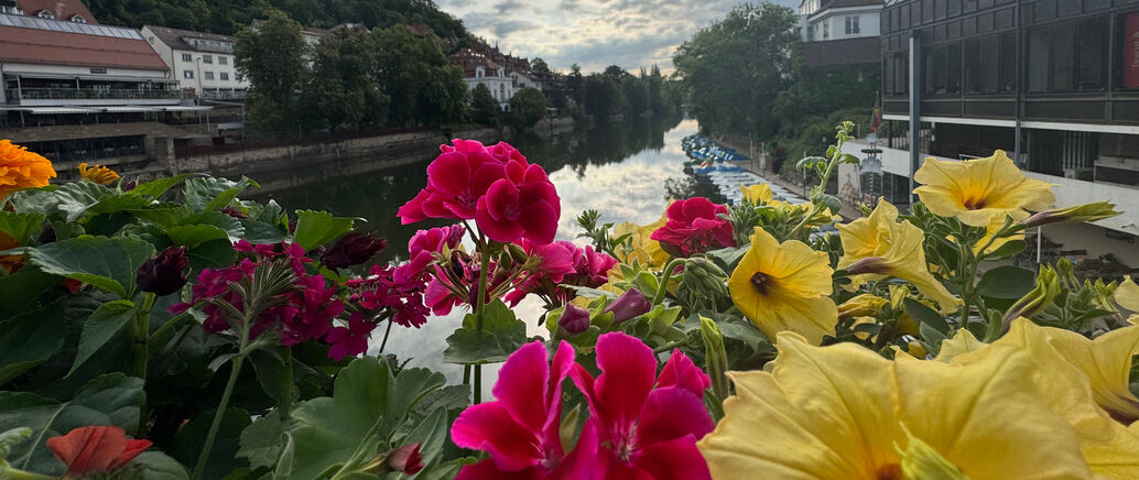 Blumenschmuck auf der Neckarbrücke
