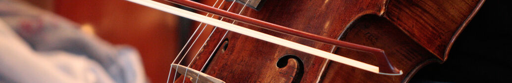 Bild: Detailansicht eines Cellobogens
