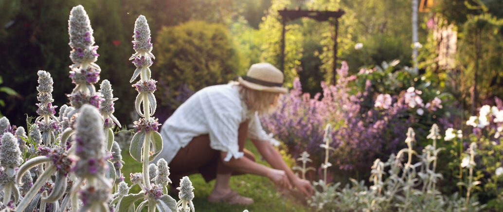 Garten