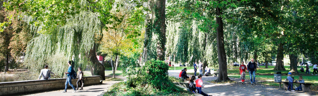 Blick in einen Park mit Menschen und Bäumen