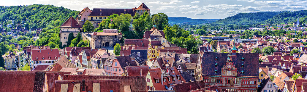 Tübingen von oben, Blick aufs Schloss und aufs Rathaus