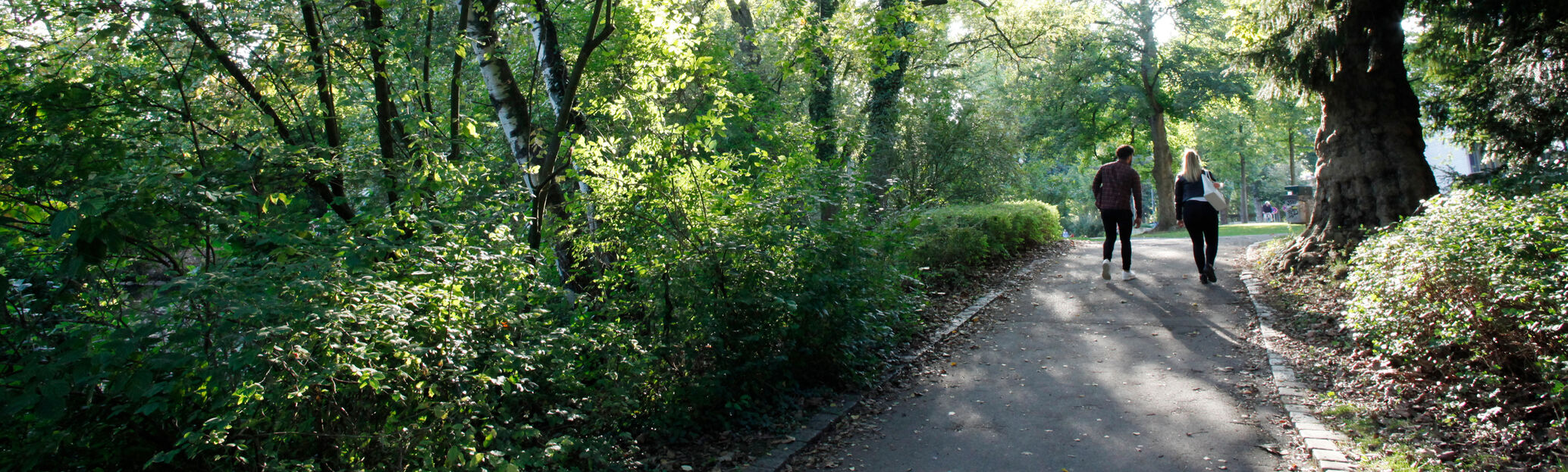 Park Europaplatz Tübingen