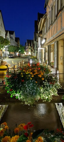 Abendstimmung in der Ammergasse. Bild: Metz