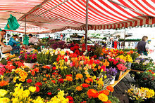 Frühlingsmarkt in Tübingen