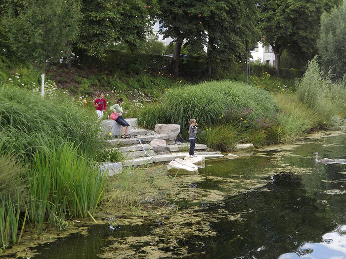 Ufergestaltung des Anlagensees: See, Pflanzen am Ufer, Menschen