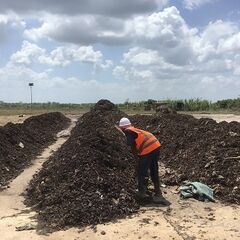 Ein Arbeiter sortiert Müll an der Kompostierungsanlage